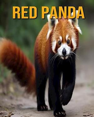 Red Panda: Fun Facts Book for Kids