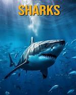 Sharks: Fun Facts Book for Kids 