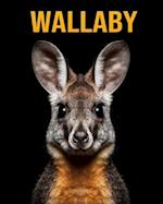 Wallaby: Fun Facts Book for Kids 