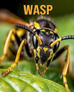 Wasp: Fun Facts Book for Kids 