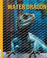 Water Dragon: Fun Facts Book for Kids 