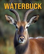 Waterbuck: Fun Facts Book for Kids 