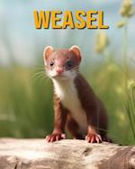 Weasel: Fun Facts Book for Kids 