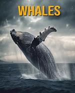 Whales: Fun Facts Book for Kids 