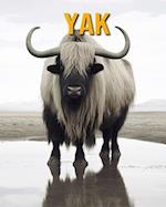 Yak: Fun Facts Book for Kids 