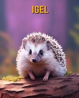 Igel