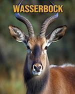 Wasserbock