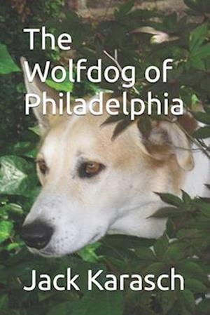 The Wolfdog of Philadelphia