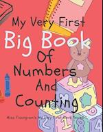 My Very First Big Book Of Numbers And Counting: Miss Finnogram's My Very First Book Series 