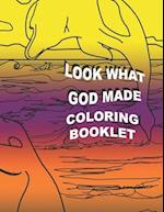 Look What God Made Coloring Booklet 