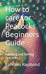 How to care for Peacocks Beginners Guide: Handling and Taming Peacocks 