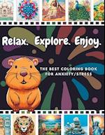 Adult Coloring Book