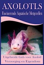 Axolotls Fascinerende Aquatische Metgezellen