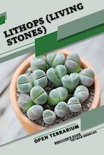 Lithops (Living Stones): Open terrarium, Beginner's Guide 