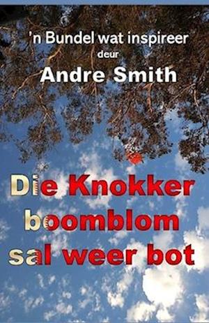 Die Knokkerboomblom sal Weer Bot