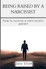 Being Raised By A Narcissist : How to Survive A Narcissistic Parent 