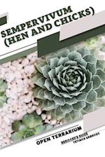 Sempervivum (Hen and Chicks): Open terrarium, Beginner's Guide 