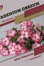 Adenium obesum: Open terrarium, Beginner's Guide 