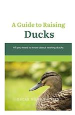 A Guide to Raising Ducks: All you need to know about rearing duck 