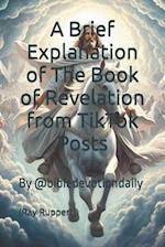 A Brief Explanation of The Book of Revelation from TikTok Posts 