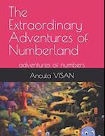 The Extraordinary Adventures of Numberland: adventures of numbers,mazes,drawing 