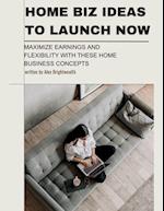 Home Biz Ideas to Launch Now: Maximize Earnings and Flexibility with These Home Business Concepts 