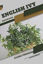English Ivy: Closed terrarium, Beginner's Guide 