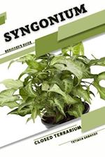 Syngonium: Closed terrarium, Beginner's Guide 