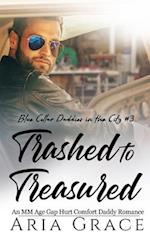 Trashed to Treasured: An M/M Age Gap Daddy Romance 