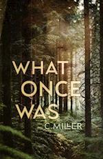 What Once Was: A New Adult Post-Apocalyptic Series 