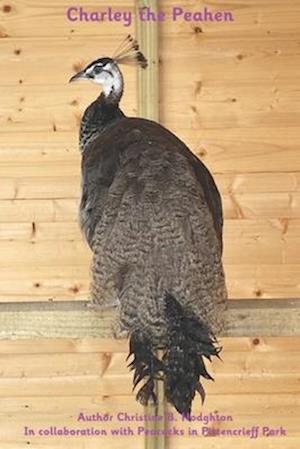 Charley the Peahen