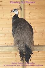 Charley the Peahen 