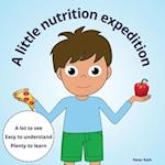 A little nutrition expedition: healthy diet simply explained 