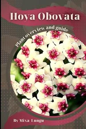 Hoya Obovata: Plant overview and guide