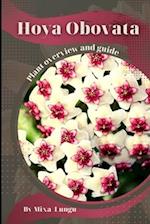 Hoya Obovata: Plant overview and guide 