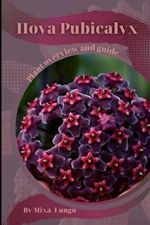 Hoya Pubicalyx: Plant overview and guide