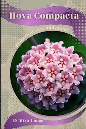 Hoya Compacta: Plant overview and guide