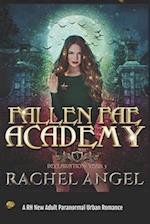 Declaration Year 3: An Academy Paranormal Bully Romance (Fallen Fae Academy Book 3) 