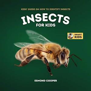 Insects for Kids: Kids' Guide on How to Identify Insects