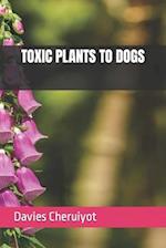 Toxic Plants to Dogs