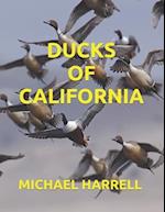 Ducks of California