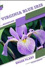 Virginia Blue Iris: Shade plant Beginner's Guide 