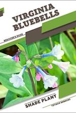 Virginia Bluebells: Shade plant Beginner's Guide 
