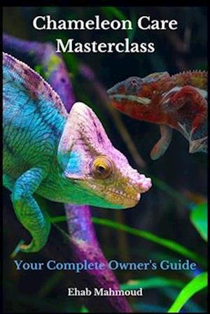 Chameleon Care Masterclass: Your Complete Owner's Guide