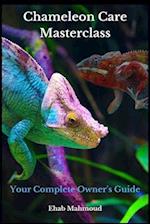 Chameleon Care Masterclass: Your Complete Owner's Guide 