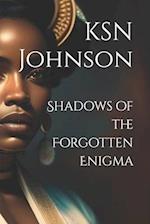 Shadows of the Forgotten Enigma 