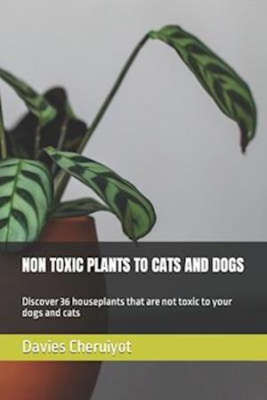 NON TOXIC PLANTS TO CATS AND DOGS: Discover 36 houseplants that are not toxic to your dogs and cats