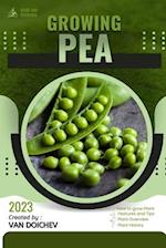 Pea: Guide and overview 