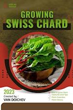 Swiss Chard: Guide and overview 
