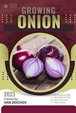 Onion: Guide and overview 